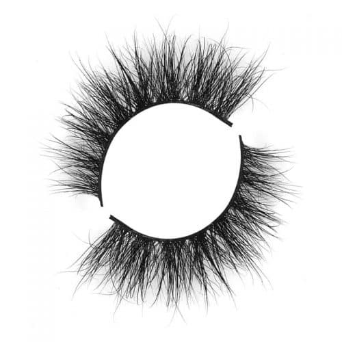 Hollywood Vendors For Eyelashes