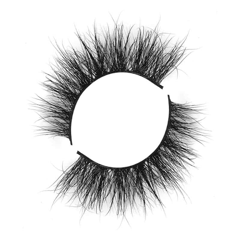 Hollywood Vendors For Eyelashes