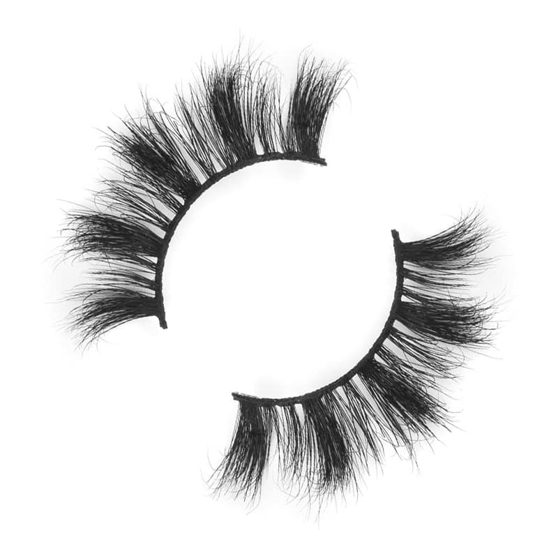 Top Eyelash Vendors -PM15